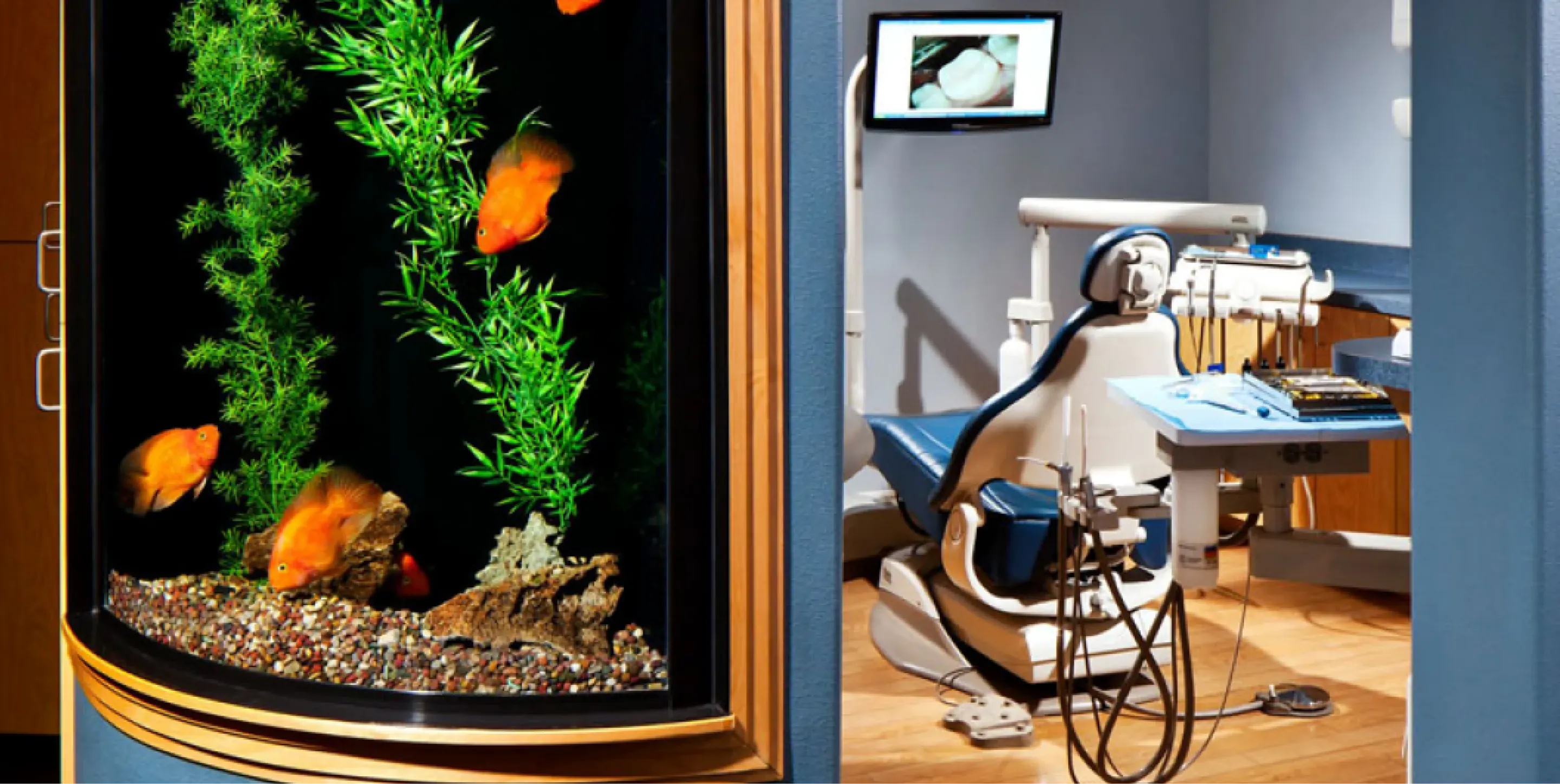 A dentist's office with an examination chair and a large fish tank with orange fish.